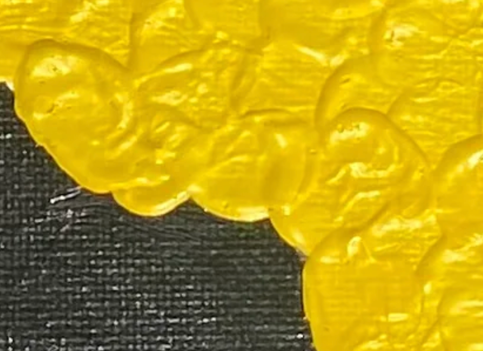 Close-up of a textured surface