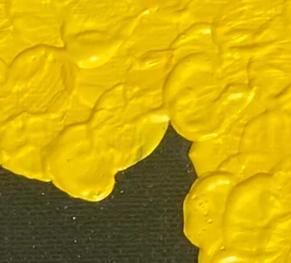 Close-up of a textured surface